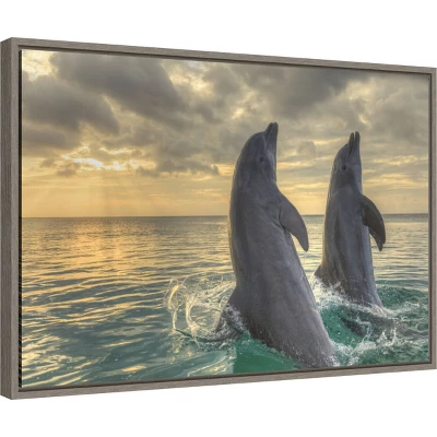 23" X 16" Dolphin Dance By Stuart Westmorland Danita Delimont Framed Canvas Wall Art - Amanti Art 3 23" X 16" Dolphin Dance By Stuart Westmorland Danita Delimont Framed Canvas Wall Art - Amanti Art