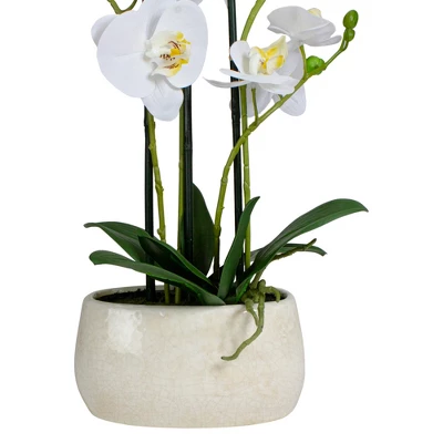 Northlight 22" Artificial White And Yellow Orchid Plant With A White Oval Pot Tabletop Decor 4 Northlight 22" Artificial White And Yellow Orchid Plant With A White Oval Pot Tabletop Decor - Image 2