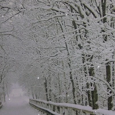 Northlight Large Fiber Optic Lighted Winter Wooden Bridge Canvas Wall Art 23.5" X 15.5" 3 Northlight Large Fiber Optic Lighted Winter Wooden Bridge Canvas Wall Art 23.5" X 15.5"