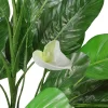 Northlight 47.5" Tropical Peace Lily Spathe Artificial Potted Plant - Green/White 1 Northlight 47.5" Tropical Peace Lily Spathe Artificial Potted Plant - Green/White -Fashion Home Decor Store GUEST 0d0bd461 6526 46d4 b266 c52b7e2bd7c5