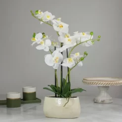 Northlight 22" Artificial White And Yellow Orchid Plant With A White Oval Pot Tabletop Decor