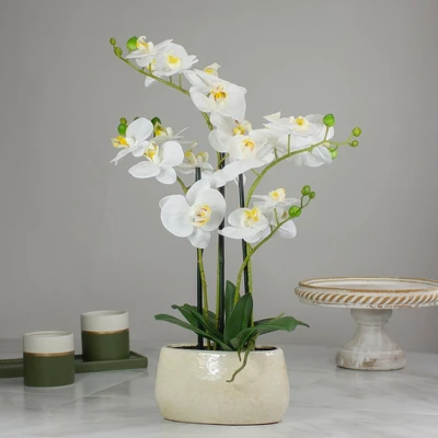 Northlight 22" Artificial White And Yellow Orchid Plant With A White Oval Pot Tabletop Decor 3 Northlight 22" Artificial White And Yellow Orchid Plant With A White Oval Pot Tabletop Decor