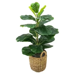 30" X 16" Artificial Fig Plant In Basket With Handles - LCG Florals 9 30" X 16" Artificial Fig Plant In Basket With Handles - LCG Florals -Fashion Home Decor Store GUEST 14179e98 8db3 4b1b be11 2a1507d70592