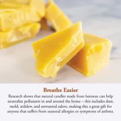 Candle By The Hour 144-Hour Candle Refill, Eco-friendly Natural Beeswax With Cotton Wick -Fashion Home Decor Store GUEST 1be736d2 98df 44a4 a9c7 7790105f7a35