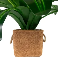 Northlight 27" Artificial Dracaena Plant In Square Rattan Pattern Ceramic Pot 8 Northlight 27" Artificial Dracaena Plant In Square Rattan Pattern Ceramic Pot -Fashion Home Decor Store GUEST 1c7e1b17 a527 43c8 8e69 a69711bc1c02