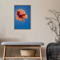 16" X 23" Poppy Flower By Michele Niles Danita Delimont Framed Canvas Wall Art Blue - Amanti Art 14 16" X 23" Poppy Flower By Michele Niles Danita Delimont Framed Canvas Wall Art Blue - Amanti Art -Fashion Home Decor Store GUEST 1efdc793 7615 477c 8234 bb327fffe9a0