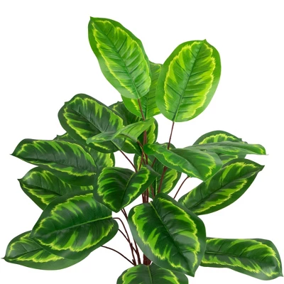 Northlight 30" Two-Tone Green Calathea Artificial Potted Plant 5 Northlight 30" Two-Tone Green Calathea Artificial Potted Plant - Image 3