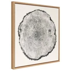 30" X 30" Sylvie Tree Rings Framed Wall Canvas By Emiko And Mark Franzen Natural - Kate & Laurel All Things Decor