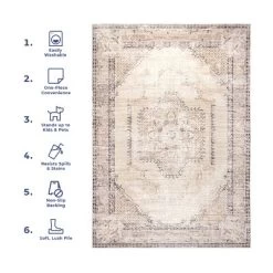 NuLOOM Glenda Machine Washable Faded Medallion Area Rug -Fashion Home Decor Store GUEST 2a879057 6a10 47c3 9fcd 09cf504fb6ae