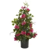 Nearly Natural 24-in Bougainvillea Artificial Climbing Plant 2 Nearly Natural 24-in Bougainvillea Artificial Climbing Plant -Fashion Home Decor Store GUEST 2b38d010 928b 4339 b0be 2888148f6800