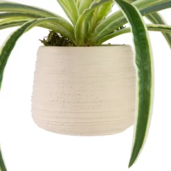 Northlight 20" Artificial Dracaena Plant In Beige Ceramic Pot 8 Northlight 20" Artificial Dracaena Plant In Beige Ceramic Pot -Fashion Home Decor Store GUEST 2dbdd725 6fbd 4a29 992f 8a1d1d0a9157