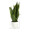 Nearly Natural 16-in Sansevieria Artificial Plant 1 Nearly Natural 16-in Sansevieria Artificial Plant -Fashion Home Decor Store GUEST 381db4ff be0e 4b48 9fd3 f8a0c4b4fa18