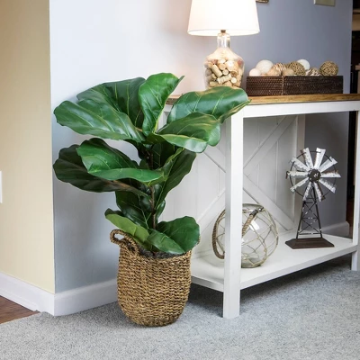 36" X 18" Artificial Fiddle Leaf Fig Plant In Basket - LCG Florals 4 36" X 18" Artificial Fiddle Leaf Fig Plant In Basket - LCG Florals - Image 2
