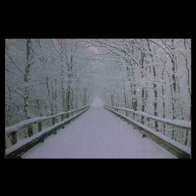 Northlight Large Fiber Optic Lighted Winter Wooden Bridge Canvas Wall Art 23.5" X 15.5" 4 Northlight Large Fiber Optic Lighted Winter Wooden Bridge Canvas Wall Art 23.5" X 15.5" - Image 2