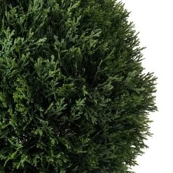 Artificial Cedar Ball In Pot UV (20") - Vickerman 15 Artificial Cedar Ball In Pot UV (20") - Vickerman -Fashion Home Decor Store GUEST 468d6383 5443 42f8 9d52 33cfd3b607f9