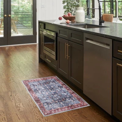 Nourison Washable Brilliance Bordered Vintage Indoor Rug 3 Nourison Washable Brilliance Bordered Vintage Indoor Rug