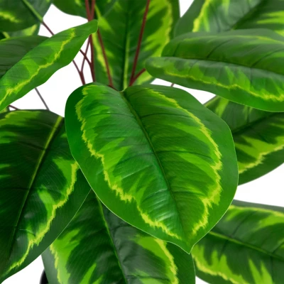 Northlight 30" Two-Tone Green Calathea Artificial Potted Plant 6 Northlight 30" Two-Tone Green Calathea Artificial Potted Plant - Image 4
