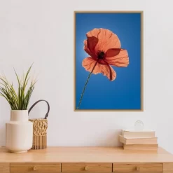 16" X 23" Poppy Flower By Michele Niles Danita Delimont Framed Canvas Wall Art Blue - Amanti Art 13 16" X 23" Poppy Flower By Michele Niles Danita Delimont Framed Canvas Wall Art Blue - Amanti Art -Fashion Home Decor Store GUEST 56a6b46a 221b 4512 bac4 bfa9c2e06a76