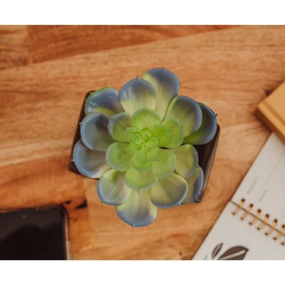 Batman Bat Logo 9x5 Inch Ceramic Planter W/ Artificial Plant 6 Batman Bat Logo 9x5 Inch Ceramic Planter W/ Artificial Plant - Image 4