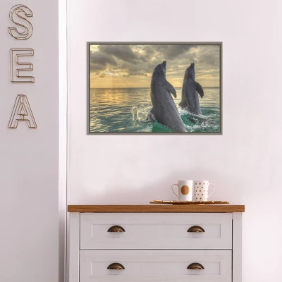 23" X 16" Dolphin Dance By Stuart Westmorland Danita Delimont Framed Canvas Wall Art - Amanti Art 7 23" X 16" Dolphin Dance By Stuart Westmorland Danita Delimont Framed Canvas Wall Art - Amanti Art - Image 5