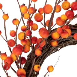 Northlight Orange Berries And Twig Artificial Fall Harvest Wreath 14- Inch, Unlit 11 Northlight Orange Berries And Twig Artificial Fall Harvest Wreath 14- Inch, Unlit -Fashion Home Decor Store GUEST 64b41895 24f0 4a32 947c 623927838a28