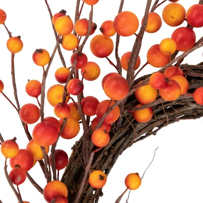 Northlight Orange Berries And Twig Artificial Fall Harvest Wreath 14- Inch, Unlit 6 Northlight Orange Berries And Twig Artificial Fall Harvest Wreath 14- Inch, Unlit - Image 4