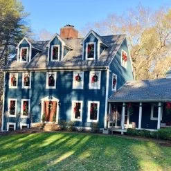 Northlight 24" Unlit Canadian Pine Artificial Christmas Wreath -Fashion Home Decor Store GUEST 6cca1dfc a278 43b6 ab26 36d525bf9ff4