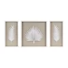 3pc Sabal Palm Rice Paper Framed Shadow Box Set Off White - Madison Park