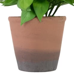 Northlight Real Touch™ Artificial Peperomia Watermelon Begonia Plant In Terracotta Style Pot - 7" -Fashion Home Decor Store GUEST 77ea09ec e45a 40aa abd9 3879e08d5894