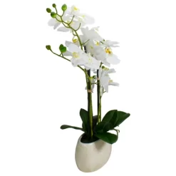 Northlight 22" Artificial White And Yellow Orchid Plant With A White Oval Pot Tabletop Decor 11 Northlight 22" Artificial White And Yellow Orchid Plant With A White Oval Pot Tabletop Decor -Fashion Home Decor Store GUEST 780d0afe 1fa3 4dc8 8bd0 cd3295d93b1c