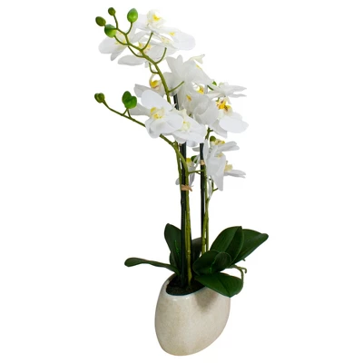 Northlight 22" Artificial White And Yellow Orchid Plant With A White Oval Pot Tabletop Decor 7 Northlight 22" Artificial White And Yellow Orchid Plant With A White Oval Pot Tabletop Decor - Image 5