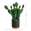 Nearly Natural 10-in Cactus Succulent Artificial Plant In Planter
