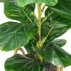 30" X 16" Artificial Fig Plant In Basket With Handles - LCG Florals 2 30" X 16" Artificial Fig Plant In Basket With Handles - LCG Florals -Fashion Home Decor Store GUEST 7d0d6687 f1f0 4cf0 bb30 b4656dbf878c