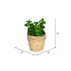 Vickerman 9" Artificial Pink Potted Tulip, Pack Of 2 -Fashion Home Decor Store GUEST 7d8d02cc 750d 42e9 9532 db8662c669aa