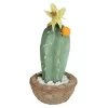 Northlight 12" Flowering Cactus Artificial Potted Plant - Green/Brown -Fashion Home Decor Store GUEST 83552da9 13e4 4423 bb29 1f0d4fd08051