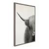 23" X 33" Sylvie Highland Cow Crop Framed Canvas Wall Art By The Creative Bunch Studio Gray - Kate And Laurel