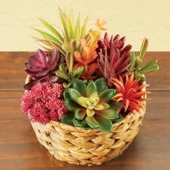 Collections Etc Colorful Artificial Succulent Arrangement 7.5 X 7.5 X 8.5