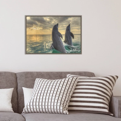 23" X 16" Dolphin Dance By Stuart Westmorland Danita Delimont Framed Canvas Wall Art - Amanti Art 9 23" X 16" Dolphin Dance By Stuart Westmorland Danita Delimont Framed Canvas Wall Art - Amanti Art - Image 7