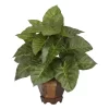 Nearly Natural 17-in Taro W/Vase Silk Plant 1 Nearly Natural 17-in Taro W/Vase Silk Plant -Fashion Home Decor Store GUEST a165f10e c37e 42d5 b955 6fbb5a8b9a75