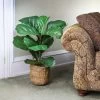 36" X 18" Artificial Fiddle Leaf Fig Plant In Basket - LCG Florals