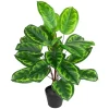 Northlight 30" Two-Tone Green Calathea Artificial Potted Plant -Fashion Home Decor Store GUEST bb966f8a c00f 453e 9707 eda8372cbe0e