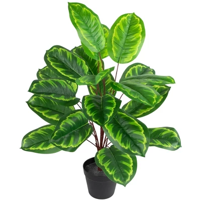 Northlight 30" Two-Tone Green Calathea Artificial Potted Plant 3 Northlight 30" Two-Tone Green Calathea Artificial Potted Plant