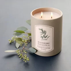 20oz Ceramic Blackberry Eucalyptus Candle Green - Thresholdâ„¢ Designed With Studio McGee