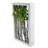 Northlight 18.5" White Birch Branch Lemon Tree Rustic Wooden Frame Decoration