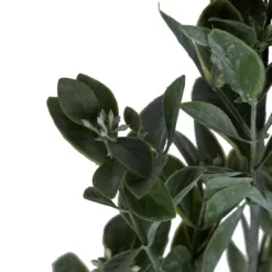 Vickerman 20" Artificial Green And White Aglaia Spray. Includes 6 Sprays Per Pack.