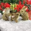 Design Toscano The Bunny Den, Garden Rabbit Statues, Set Of 3 - Brown -Fashion Home Decor Store GUEST cabb2aac 6315 4889 83ca a5f6262fca73