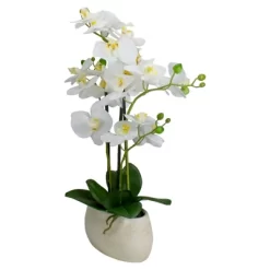 Northlight 22" Artificial White And Yellow Orchid Plant With A White Oval Pot Tabletop Decor 10 Northlight 22" Artificial White And Yellow Orchid Plant With A White Oval Pot Tabletop Decor -Fashion Home Decor Store GUEST d72b401d b0f0 4967 b800 eb317c12ce12