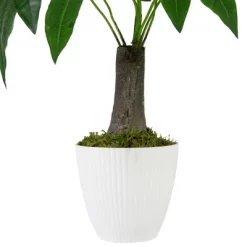 Northlight 18.5" Artificial Guiana Chestnut Plant In White Pot -Fashion Home Decor Store GUEST da501613 743a 46ed 956a 71b001639a45