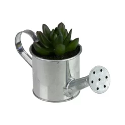 Northlight 4" X Pachyveria Succulent In Water Can Artificial Potted Plant - Green/Silver