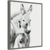 16" X 20" Donkey Portrait V By PH Burchett Framed Canvas Wall Art - Amanti Art 1 16" X 20" Donkey Portrait V By PH Burchett Framed Canvas Wall Art - Amanti Art -Fashion Home Decor Store GUEST ec24eaff 1c06 4be9 be64 8bf8e21168f5
